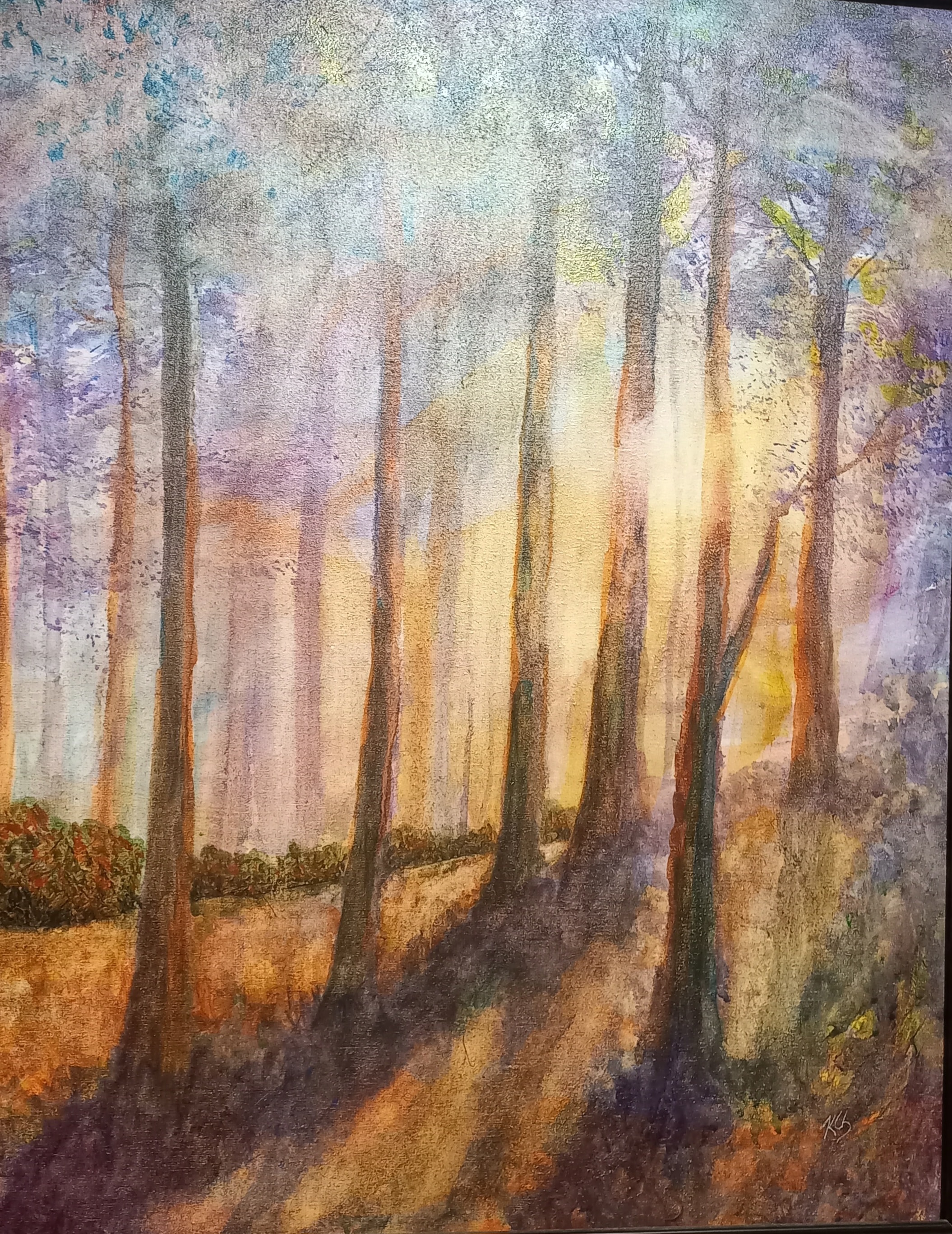 Forest Sunset